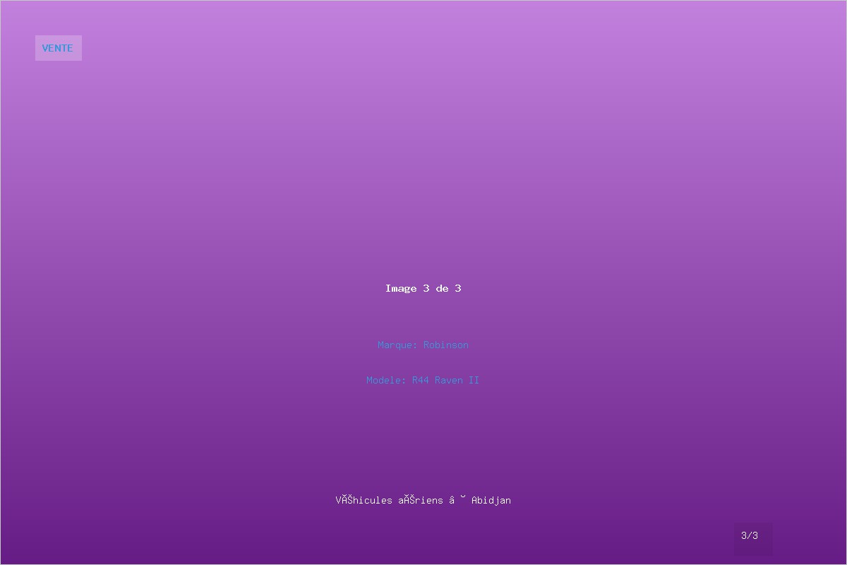 Hélicoptère Robinson R44 - Vente - Image 3