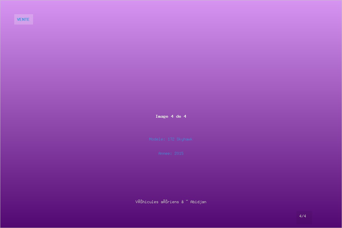 Cessna 172 - Avion de tourisme - Image 4